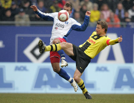 近年来因其 近年来因其