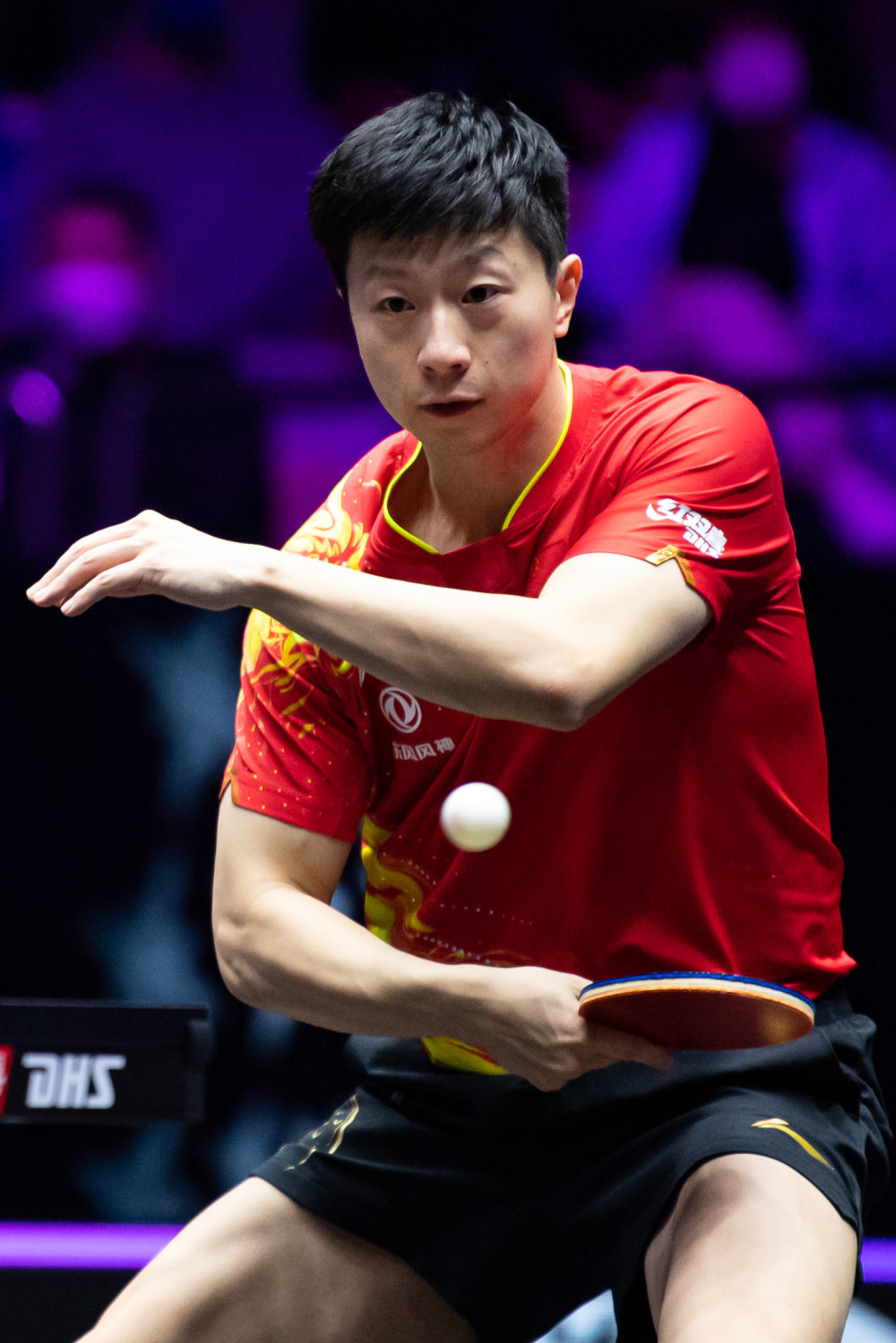 吸引了大量 吸引了大量